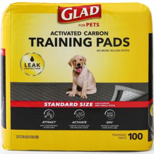 GGFUNY Activated Charcoal Leak-Resistant Training Pads for Dogs, 23in x 23in, 100 Count
