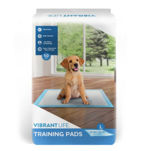 GGFUNY Training Pads, Large, 22 in x 22 in, 50 Count