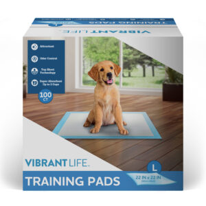 GGFUNY Training Pads, Large, 22 in x 22 in, 100 Count