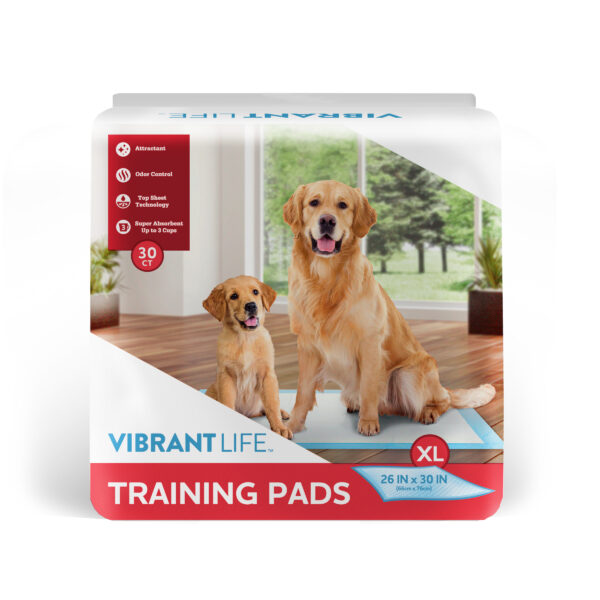 GGFUNY Training Pads, XL, 26 in x 30 in, 30 Count