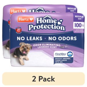 (2 pack) GGFUNY Home Protection Lavender Scent Odor-Eliminating Dog Pads, Regular Size, 21 in x 21 in, 100ct
